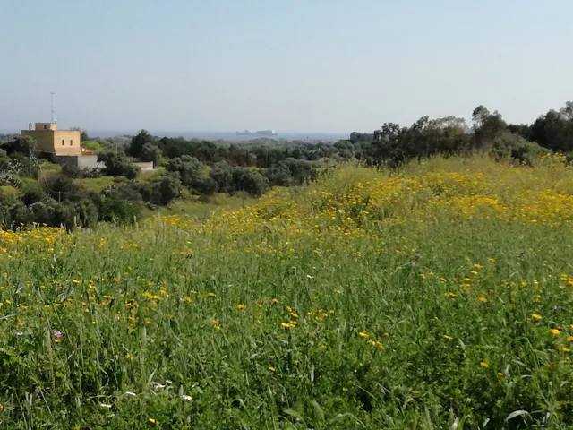 Parco Naturale Regionale della Lama Balice