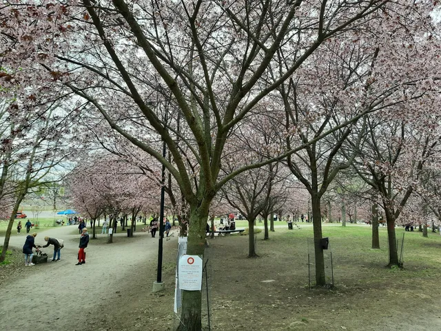 Roihuvuori Japanese Garden