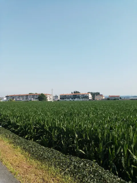 Ciclovia Famalicão-Póvoa de Varzim