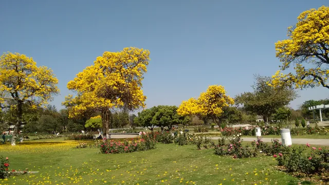 Zakir Hussain Rose Garden