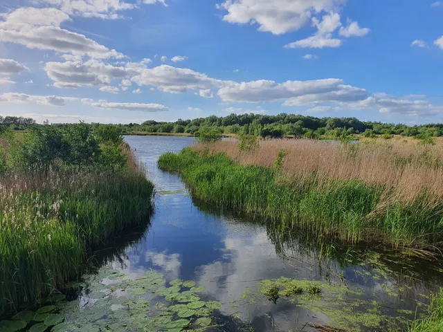 Willington Wetlands Nature Reserve