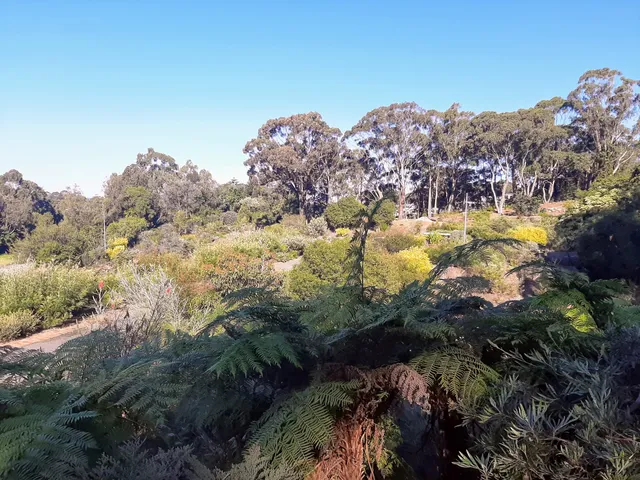 Illawarra Grevillea Park