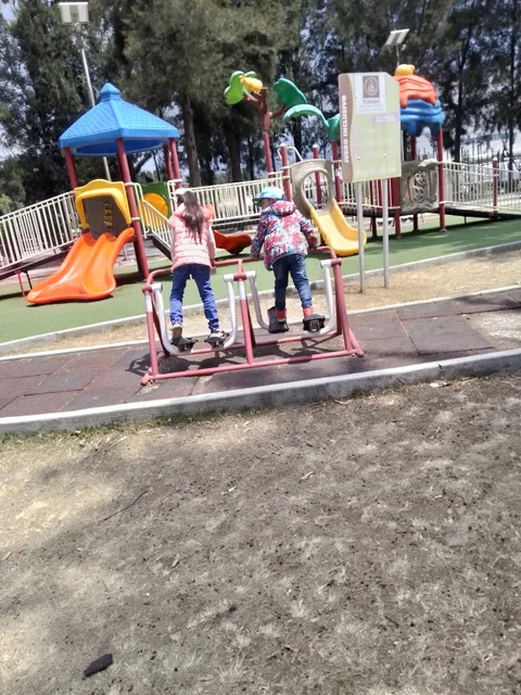 Tacos de guisado Rosy