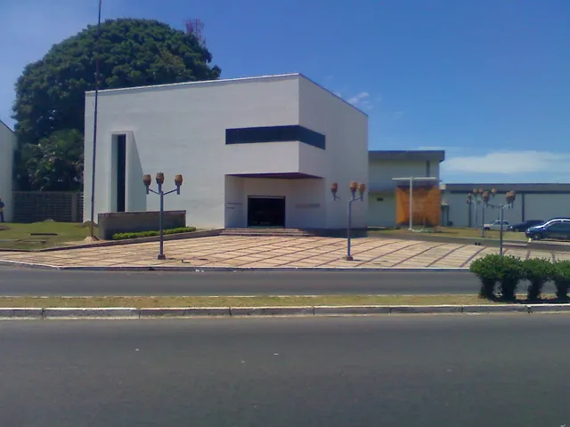 Jesús Soto Museum of Modern Art