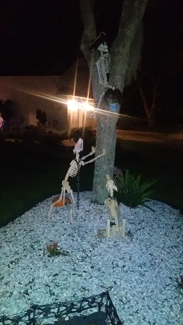 New Tampa Blvd Walking Trail