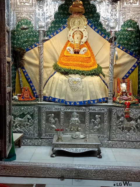 photo-1