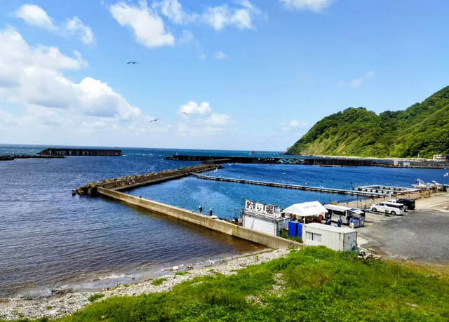 ミハマチョウギョギョウキョウドウクミアイヒルガカイジョウツリボリ