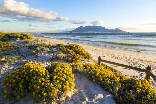 Table Bay