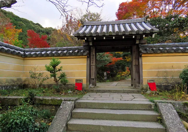 photo-2