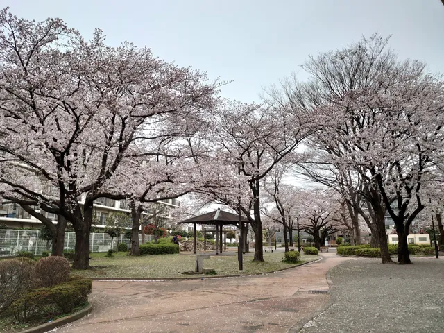 Kamakura Park