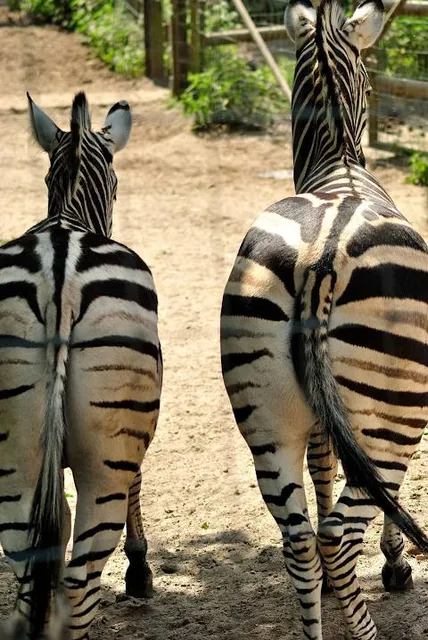 Kersey Valley Attractions