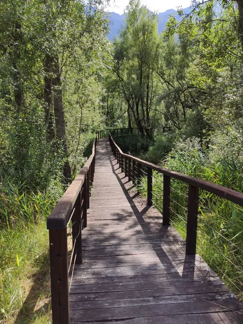Riserva Naturale Del Marais