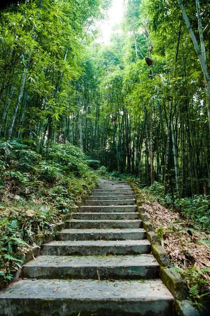 3003 Steps to Linabo Peak