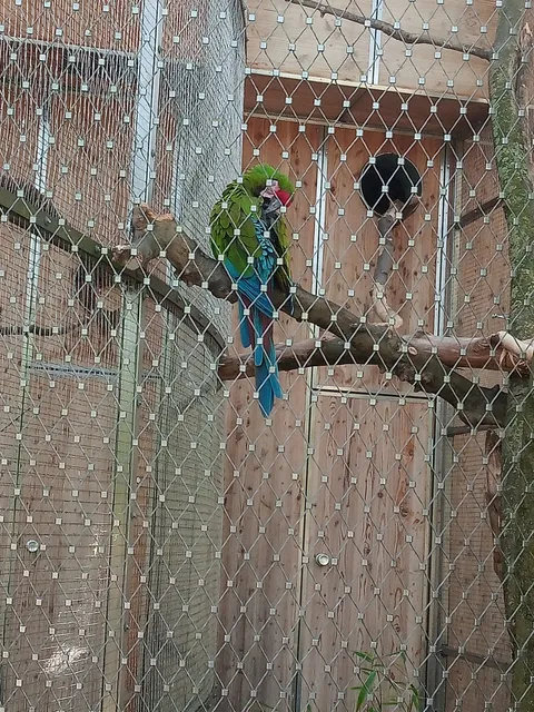 Tiergehege Öhringen