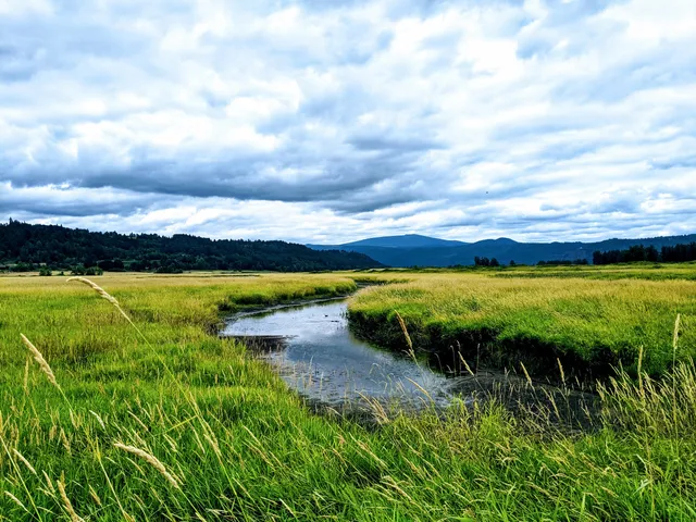 Steigerwald Lake National Wildlife Refuge