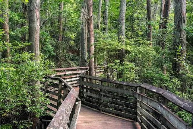 First Landing State Park