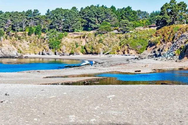 Van Damme State Park