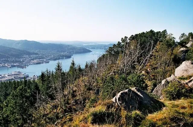 Sandviksfjellet