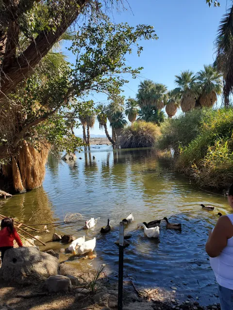 Yuma Conservation Garden