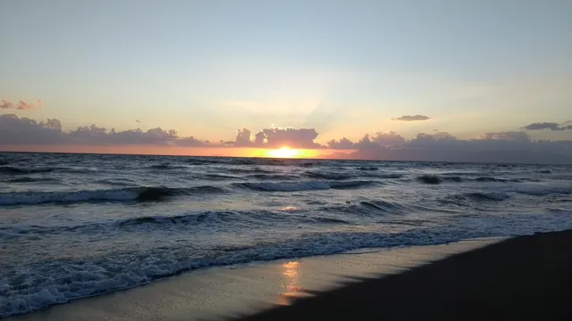 Riserva naturale Foce Sele-Tanagro