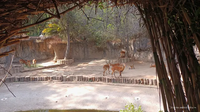 Herpetario De Chapultepec