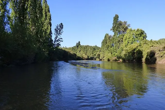 Tavolevo River