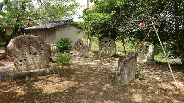 photo-2