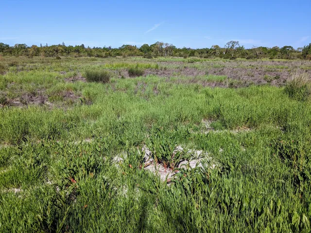 Laguna de Santa Rosa Trail