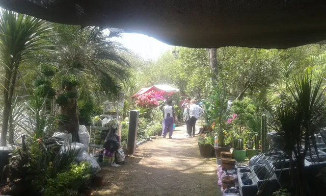 Parque Central de La Herradura