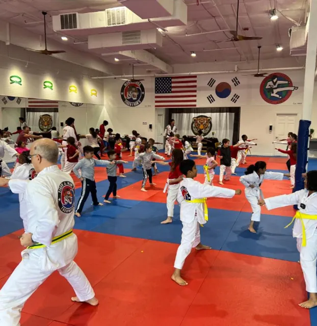 Tiger J Kim's World Class Taekwondo 3