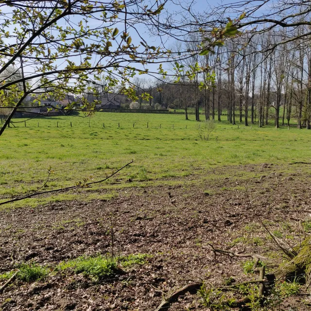 Start wandelingen: Lieteberg Nationaal Park Hoge Kempen