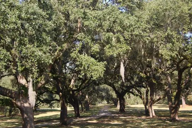 Gullah Geechee Cultural Heritage Corridor NHA