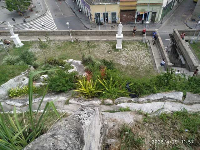 Hanging Garden of Valongo