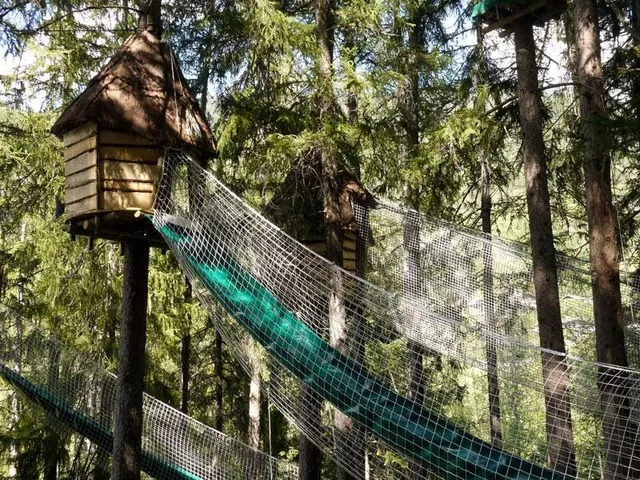Le repaire des écureuils.