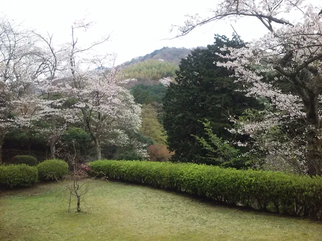 Maruyama Park