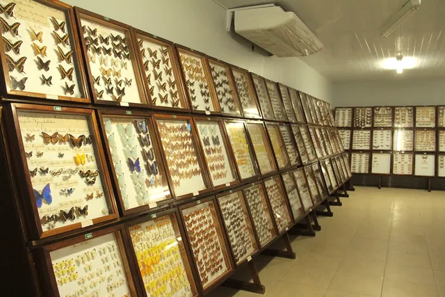 Museu de Ciências Naturais de Guarapuava