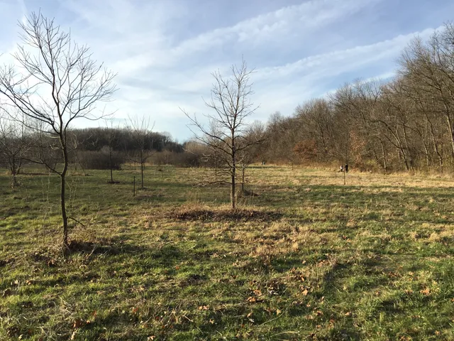 Grindstone Nature Area