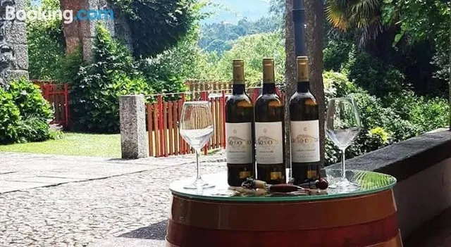 São Martinho de Anta