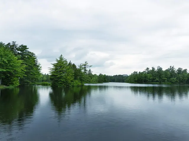 Scott Saunders Memorial Park