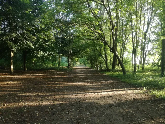 photo-1