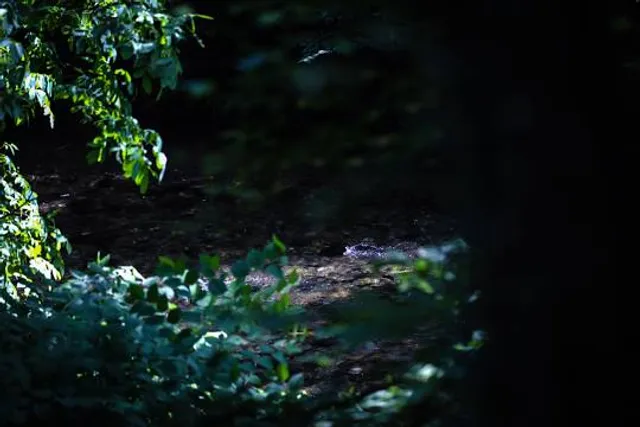 Parco Rile-Tenore-Olona