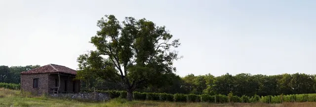place image