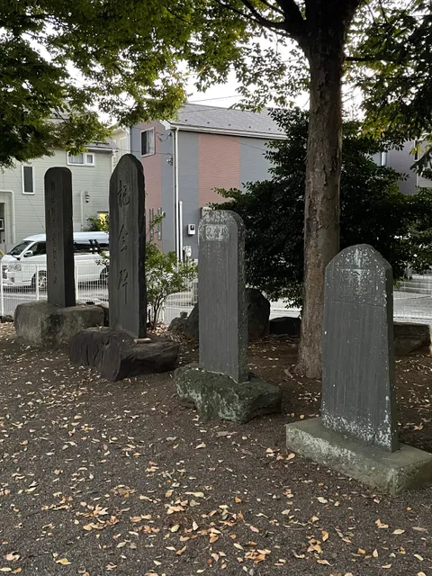 photo-1