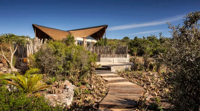 Kichaka Luxury Game Lodge - Lalibela Game Reserve