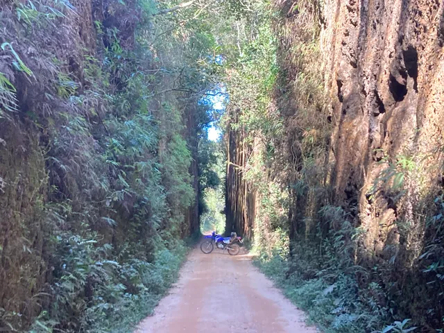 Corte Fundo - São Domingos da Bocaina - Lima Duarte - MG