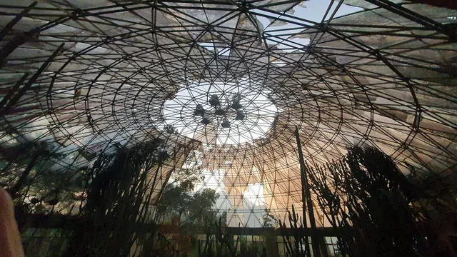 National Cactus Arboretum