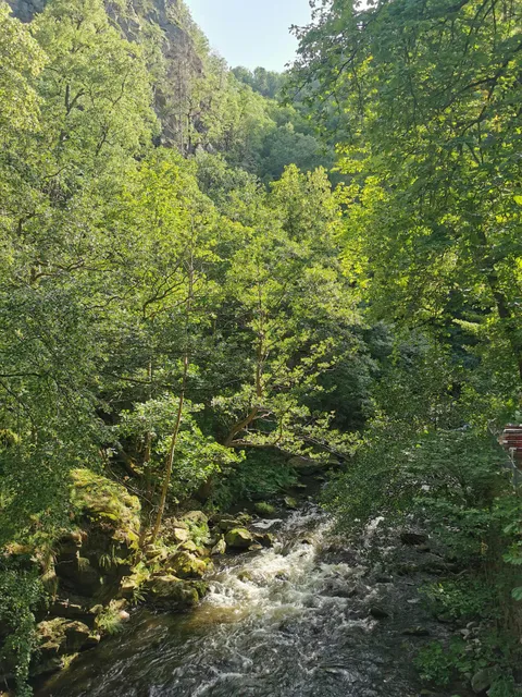 La Viershöhe HWN 72