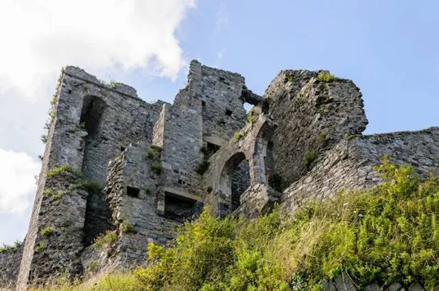 Carlingford Castle