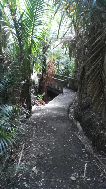 Dingle Dell Reserve