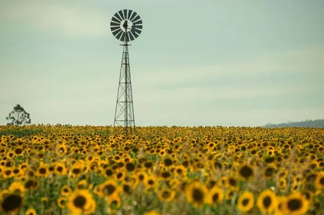 John T Huston - Dr John D Brumbaugh Nature Center